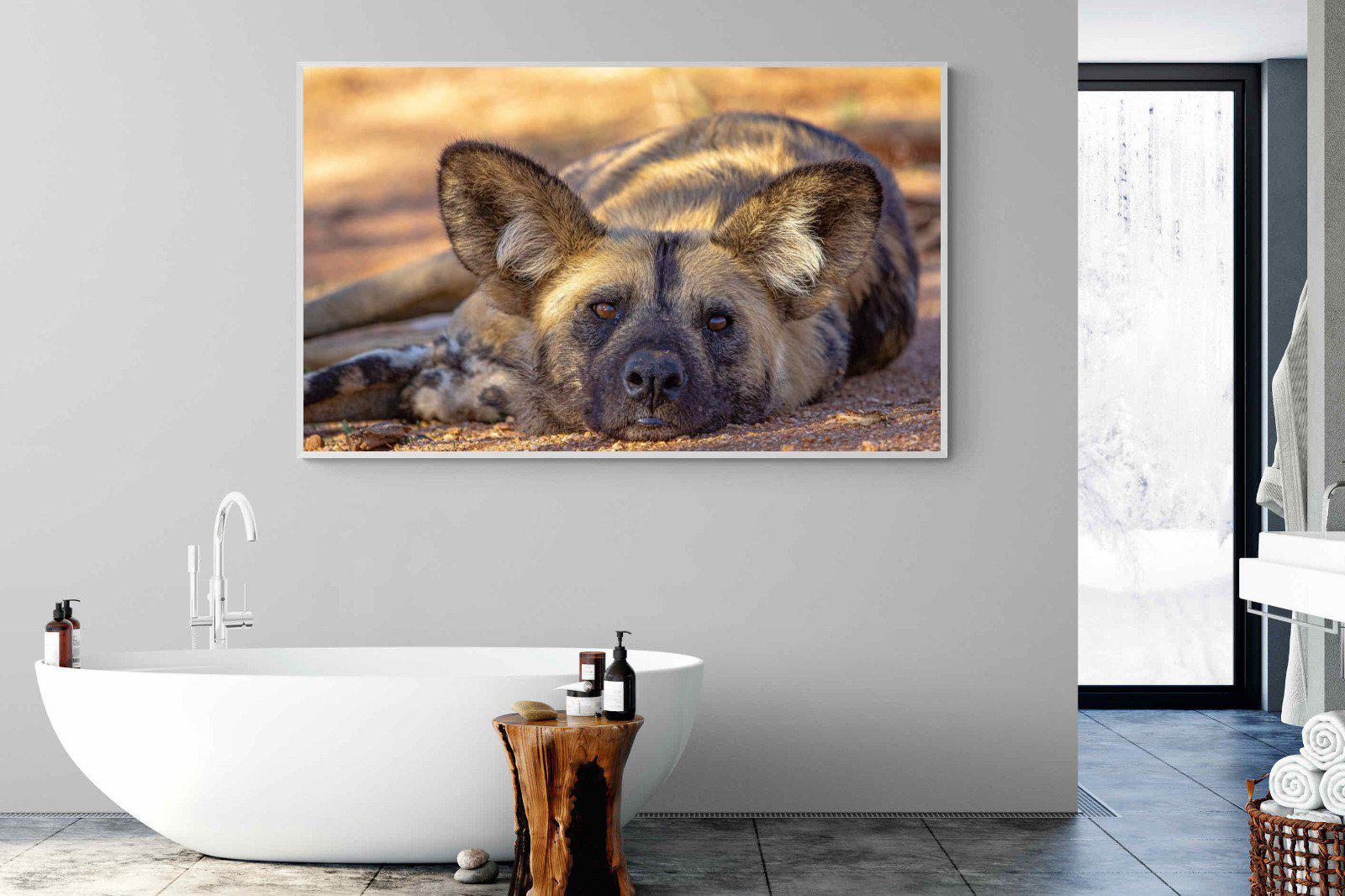 Not So Wild Dog-Wall_Art-180 x 110cm-Mounted Canvas-White-Pixalot