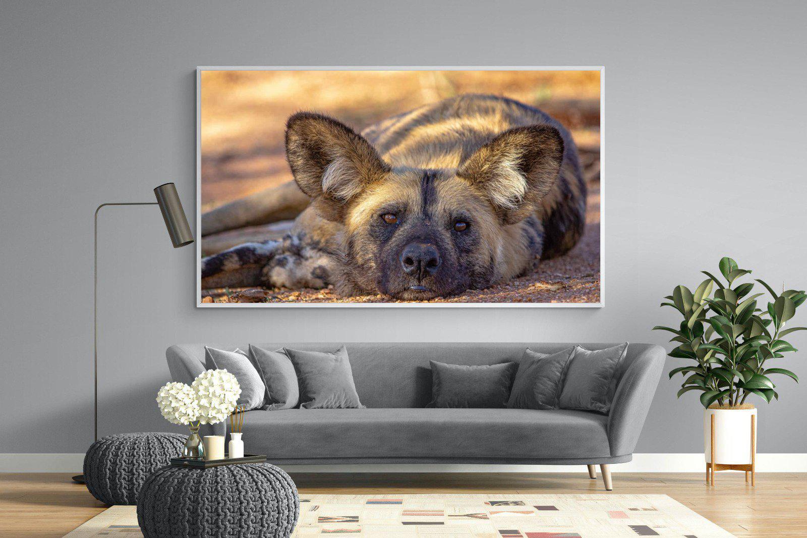 Not So Wild Dog-Wall_Art-220 x 130cm-Mounted Canvas-White-Pixalot