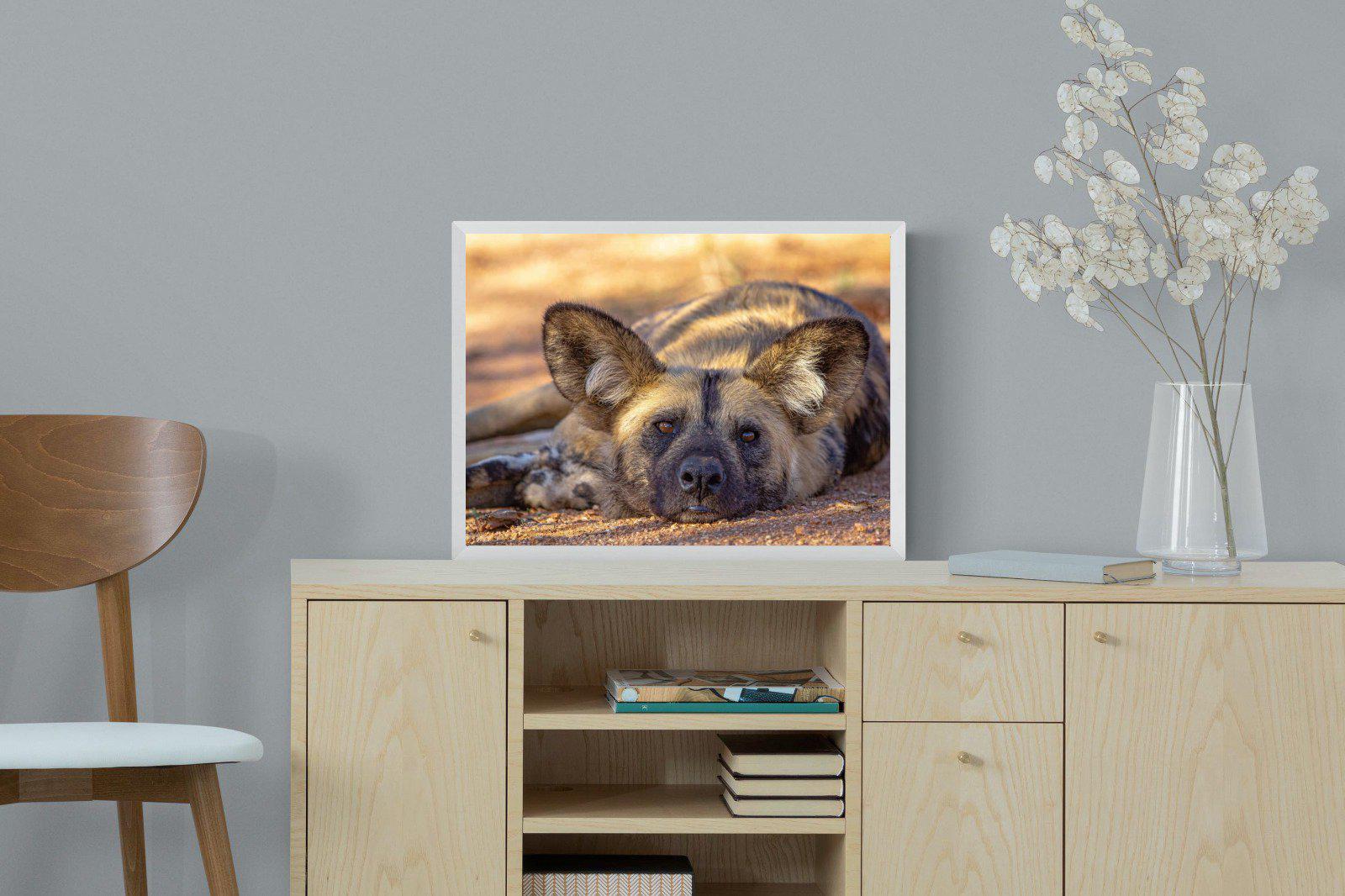 Not So Wild Dog-Wall_Art-60 x 45cm-Mounted Canvas-White-Pixalot