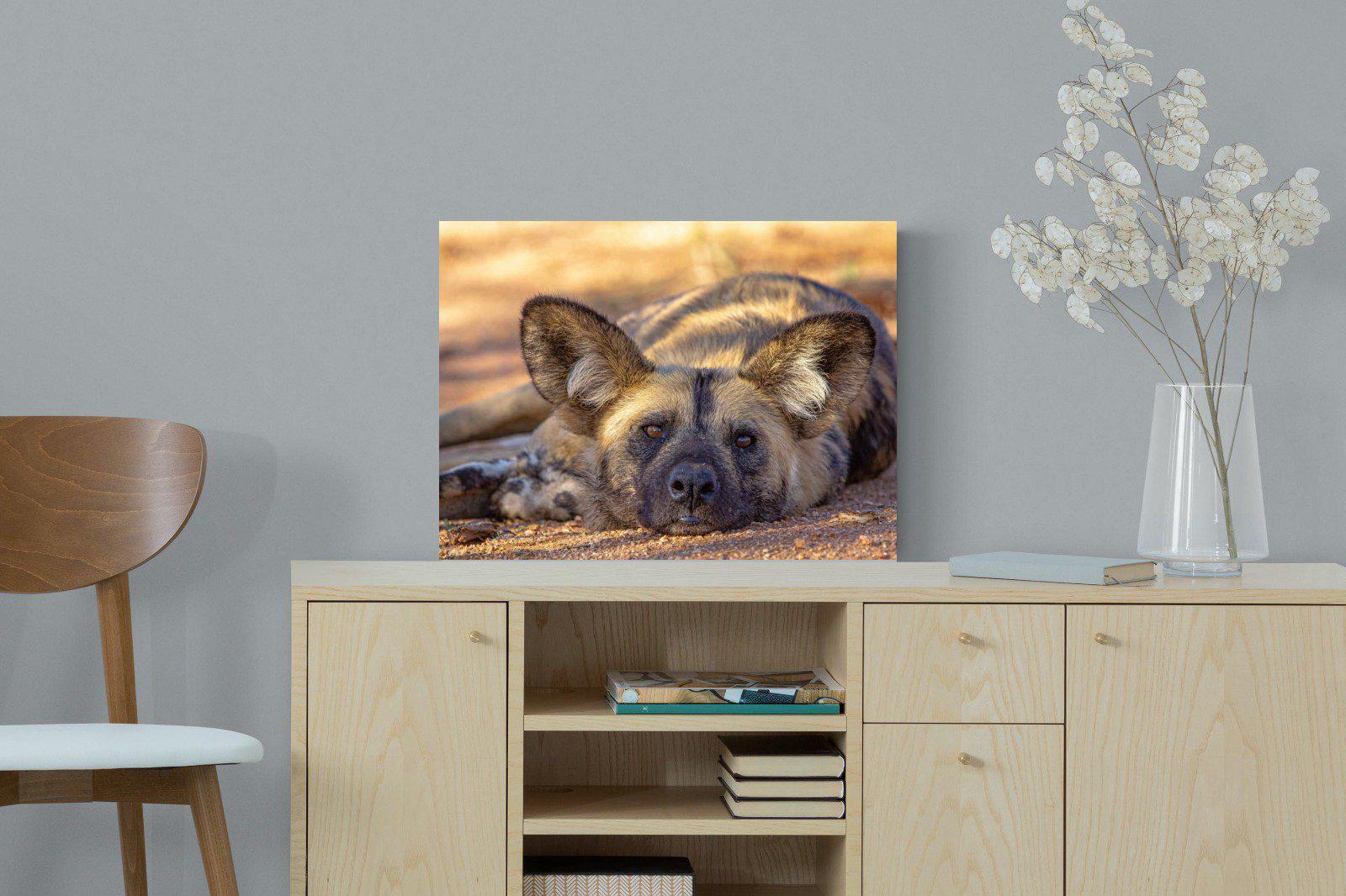 Not So Wild Dog-Wall_Art-60 x 45cm-Mounted Canvas-No Frame-Pixalot