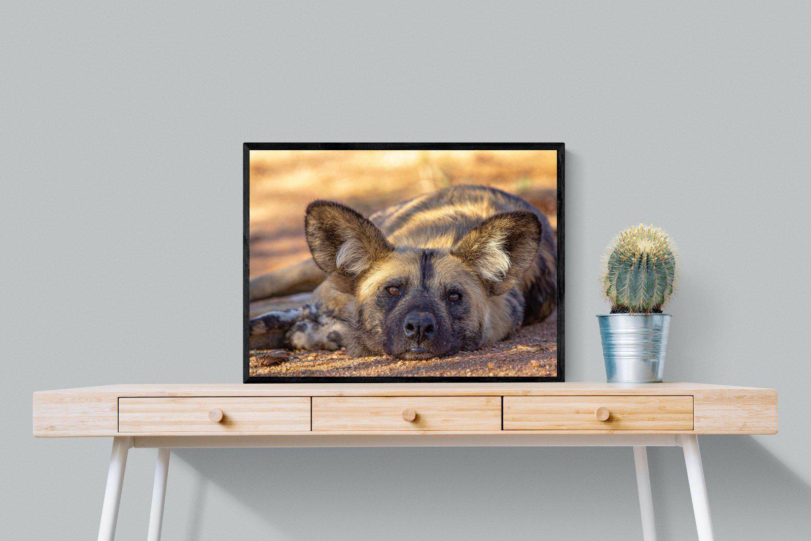 Not So Wild Dog-Wall_Art-80 x 60cm-Mounted Canvas-Black-Pixalot