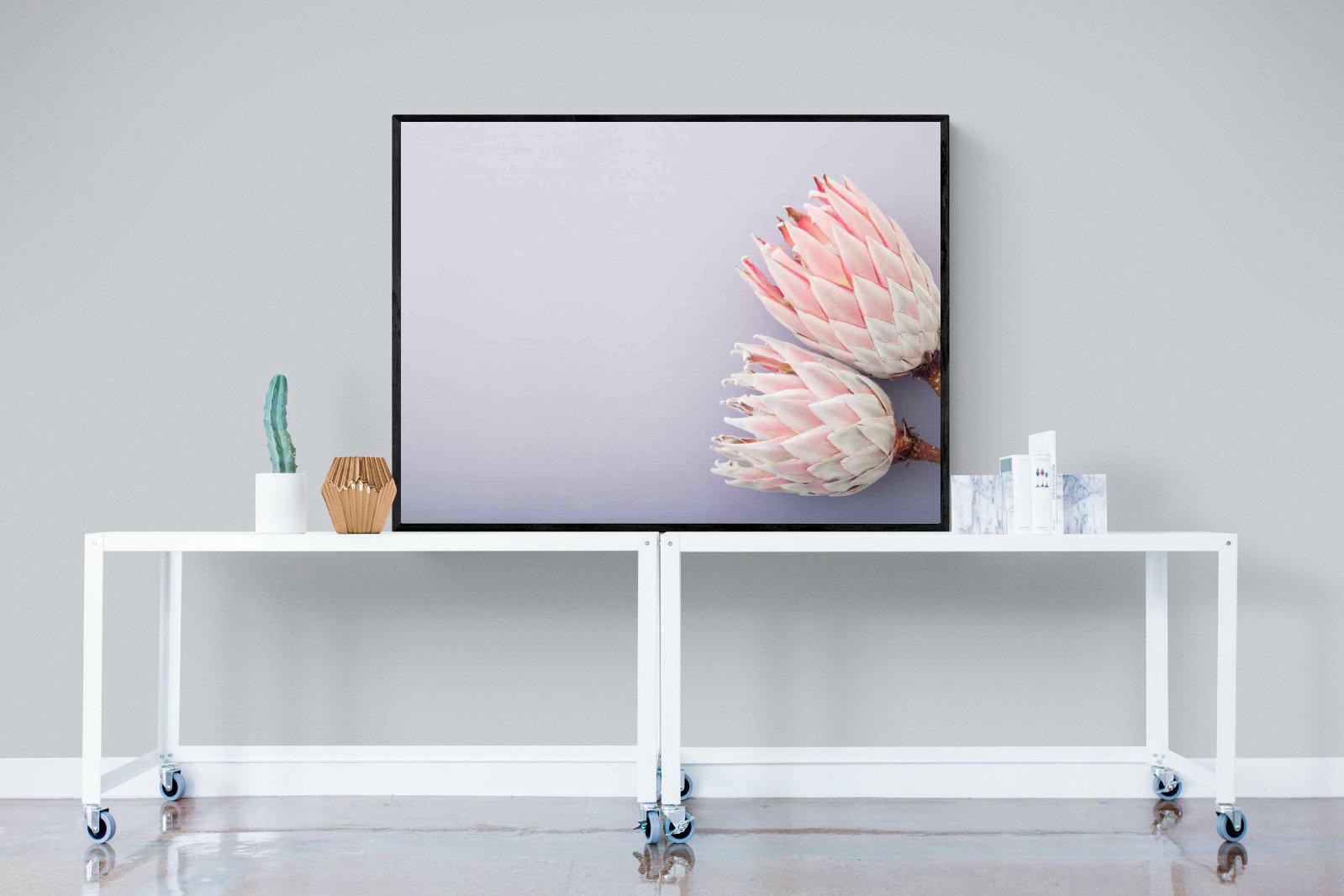 Pair of Proteas-Wall_Art-120 x 90cm-Mounted Canvas-Black-Pixalot