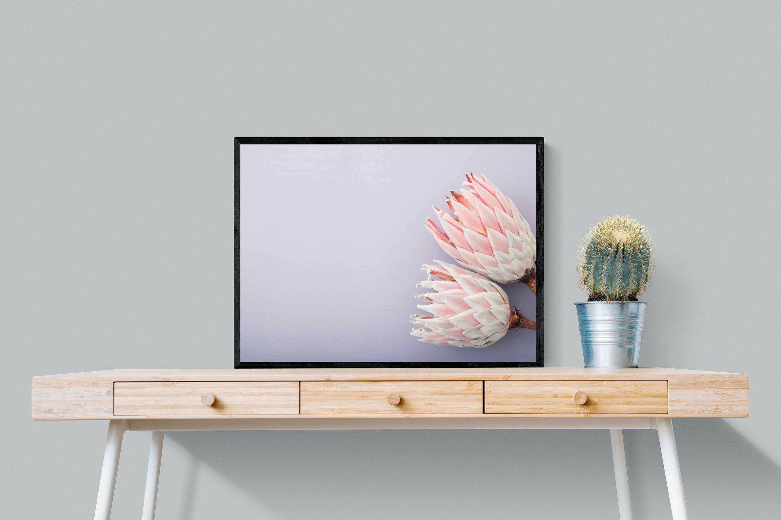 Pair of Proteas-Wall_Art-80 x 60cm-Mounted Canvas-Black-Pixalot