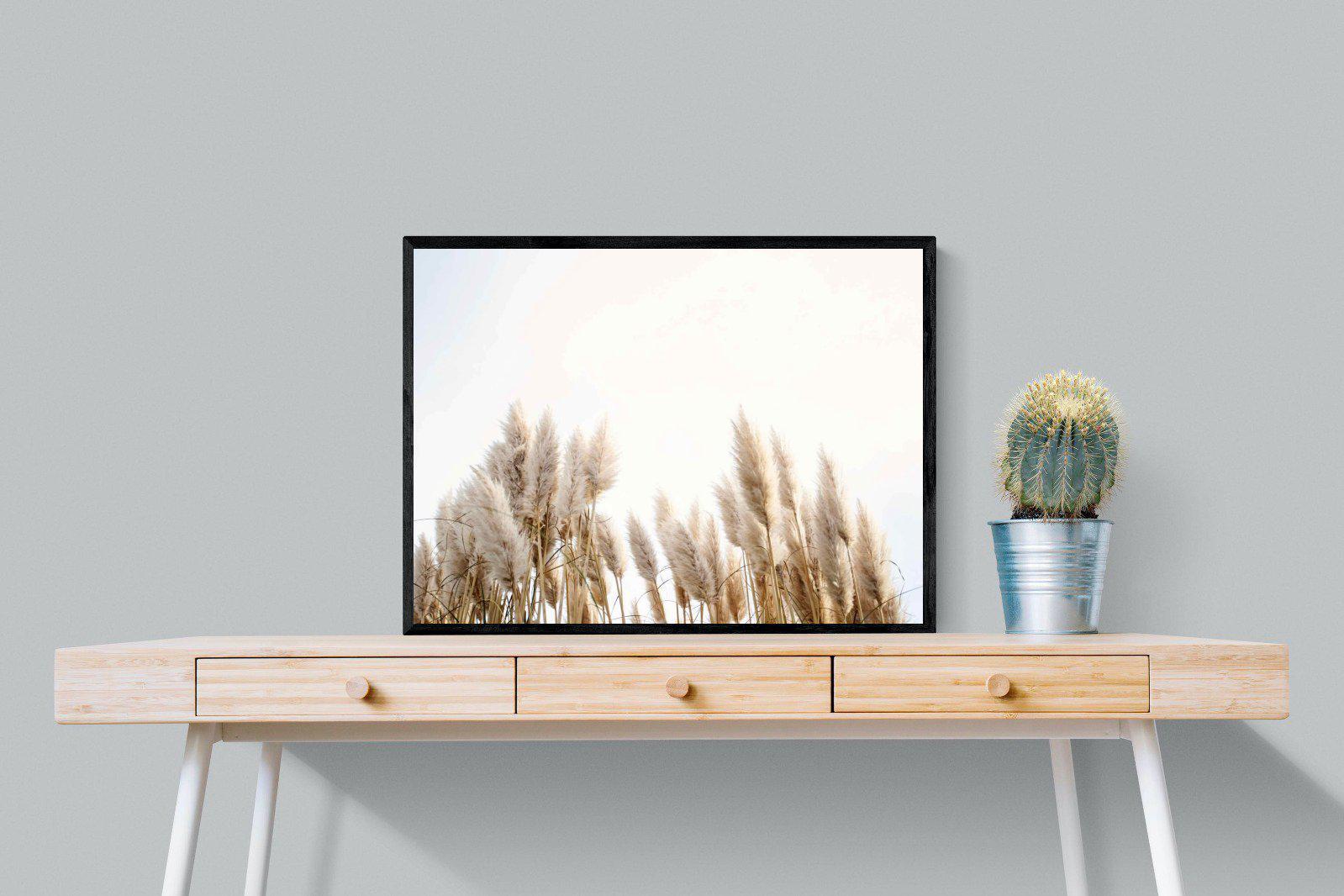 Pampas Grass-Wall_Art-80 x 60cm-Mounted Canvas-Black-Pixalot