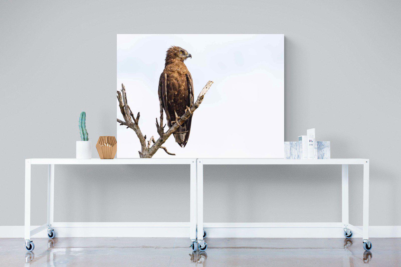 Perched-Wall_Art-120 x 90cm-Mounted Canvas-No Frame-Pixalot