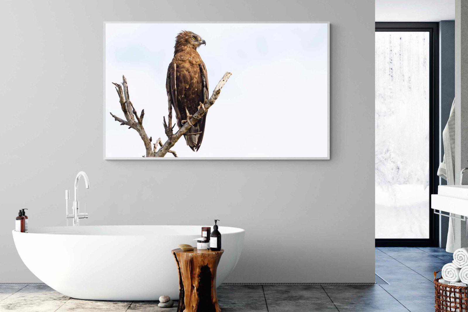 Perched-Wall_Art-180 x 110cm-Mounted Canvas-White-Pixalot