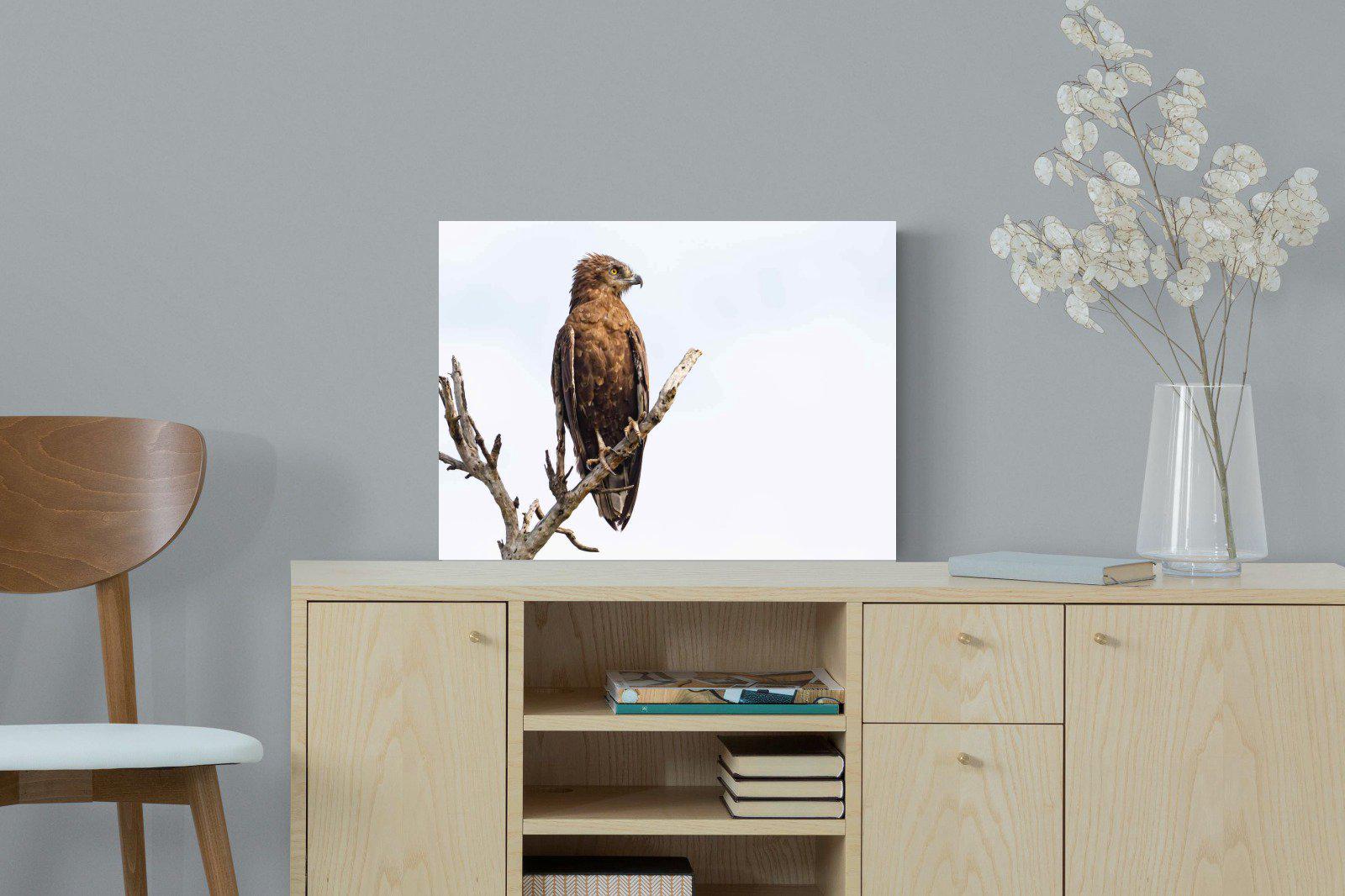 Perched-Wall_Art-60 x 45cm-Mounted Canvas-No Frame-Pixalot