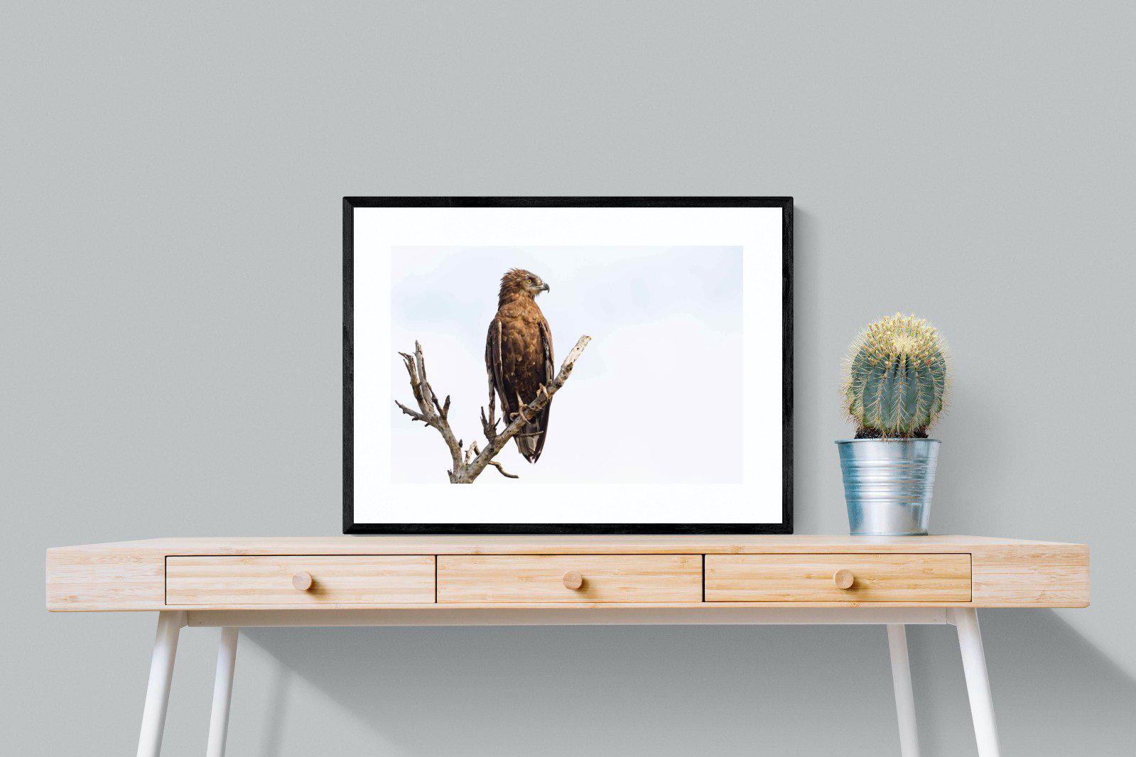 Perched-Wall_Art-80 x 60cm-Framed Print-Black-Pixalot