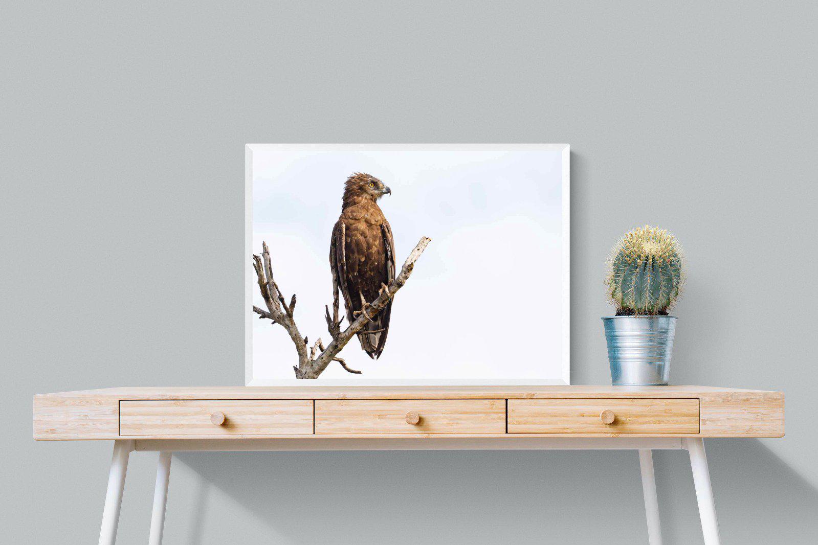 Perched-Wall_Art-80 x 60cm-Mounted Canvas-White-Pixalot