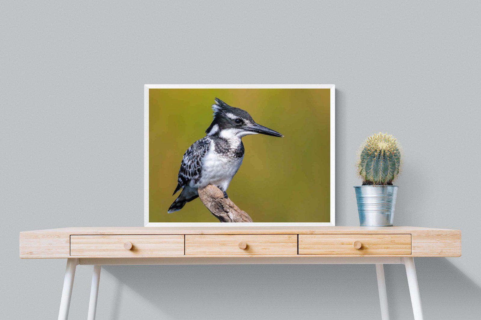 Pied Kingfisher-Wall_Art-80 x 60cm-Mounted Canvas-White-Pixalot