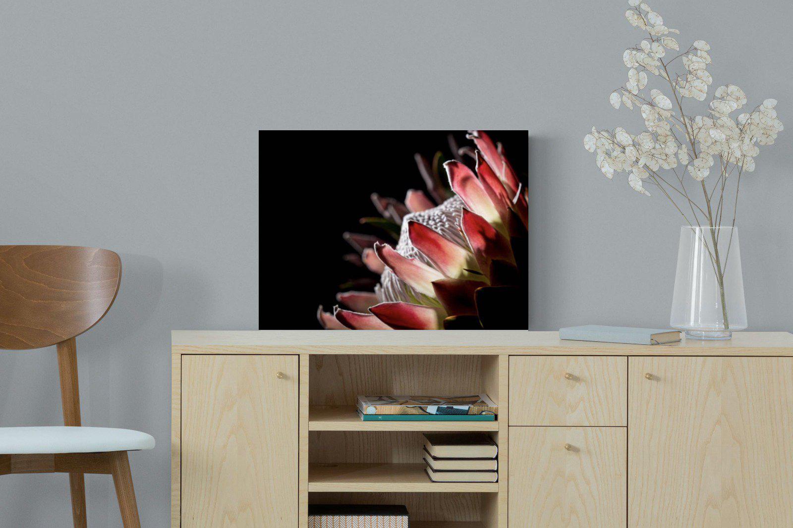 Protea-Wall_Art-60 x 45cm-Mounted Canvas-No Frame-Pixalot