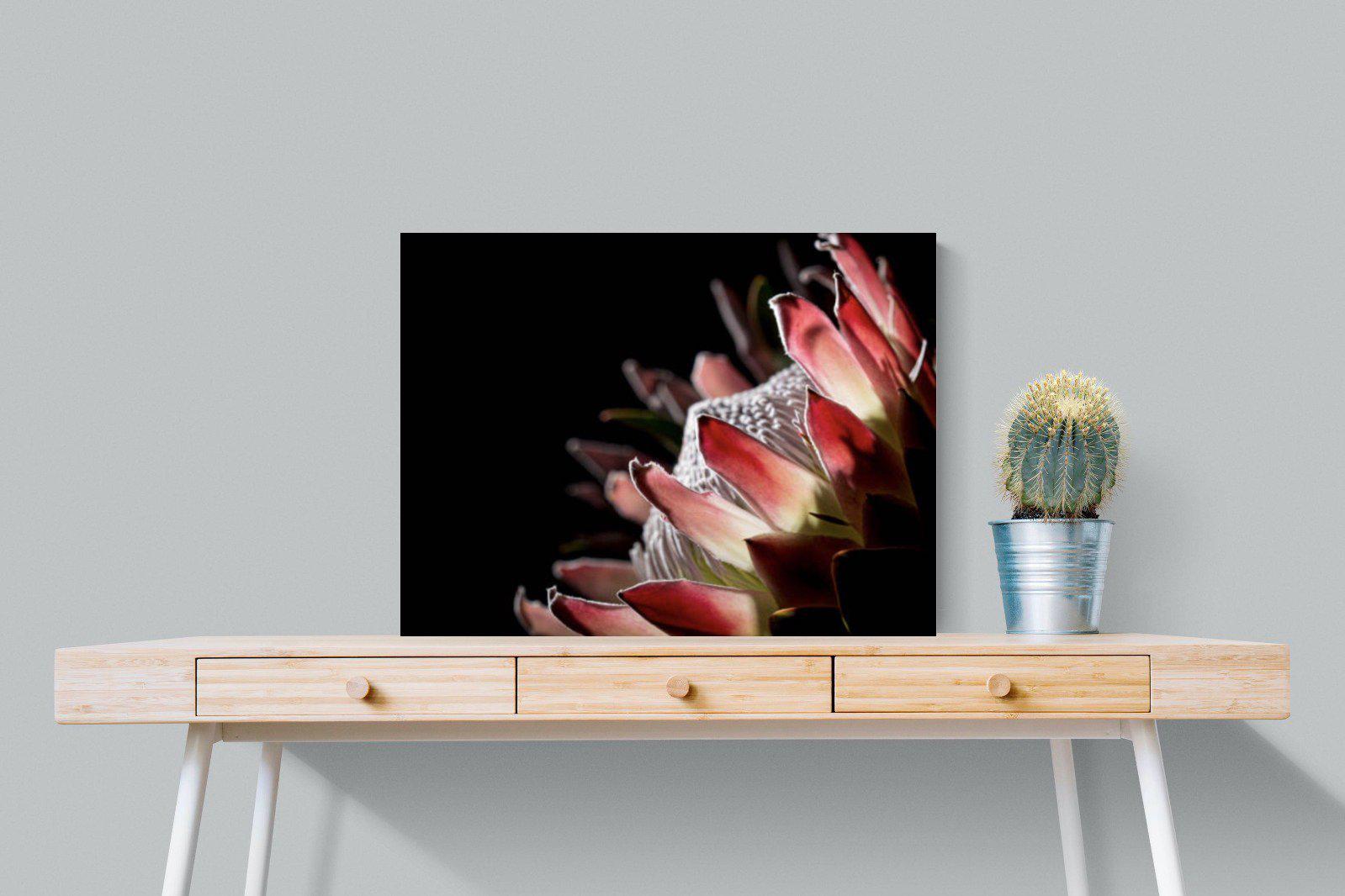 Protea-Wall_Art-80 x 60cm-Mounted Canvas-No Frame-Pixalot