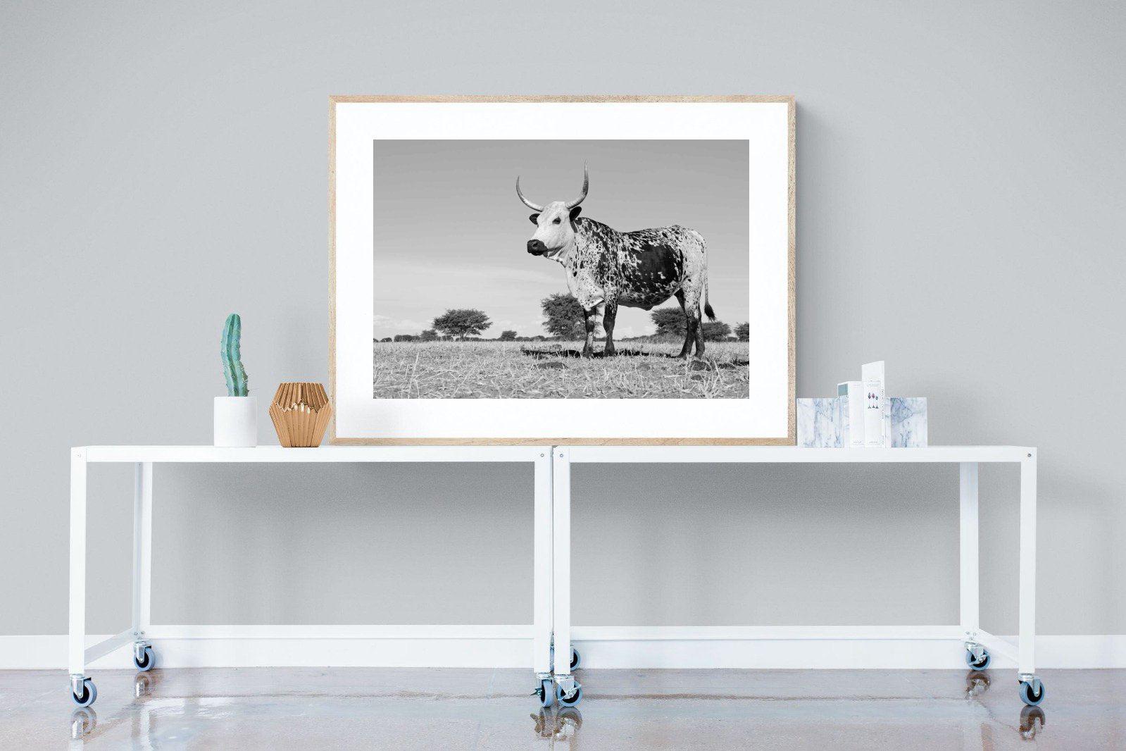 Proud Nguni-Wall_Art-120 x 90cm-Framed Print-Wood-Pixalot