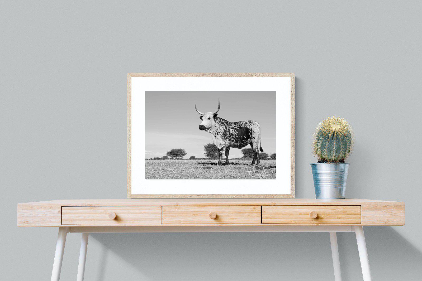 Proud Nguni-Wall_Art-80 x 60cm-Framed Print-Wood-Pixalot