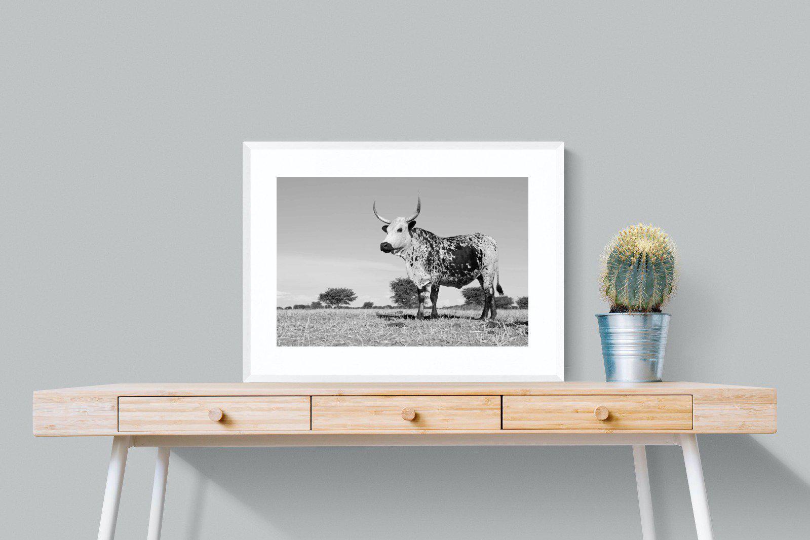 Proud Nguni-Wall_Art-80 x 60cm-Framed Print-White-Pixalot