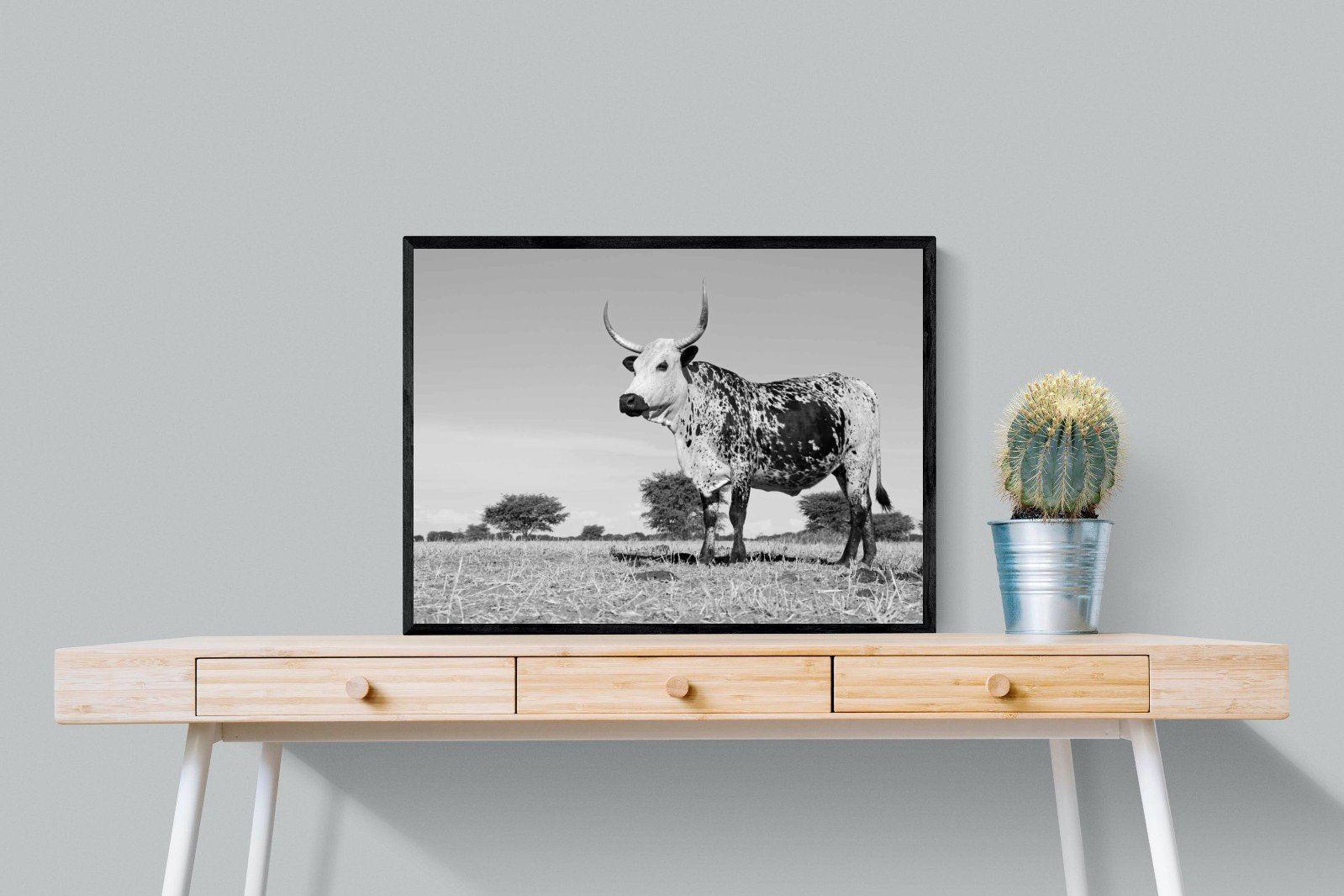 Proud Nguni-Wall_Art-80 x 60cm-Mounted Canvas-Black-Pixalot