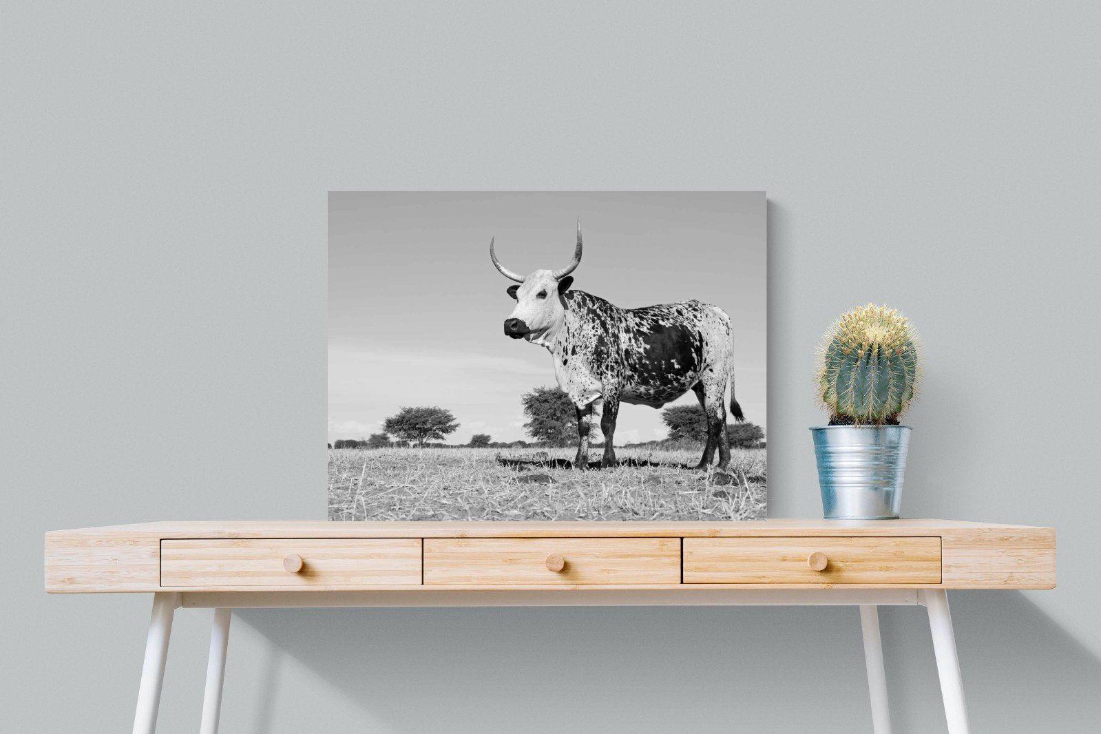 Proud Nguni-Wall_Art-80 x 60cm-Mounted Canvas-No Frame-Pixalot