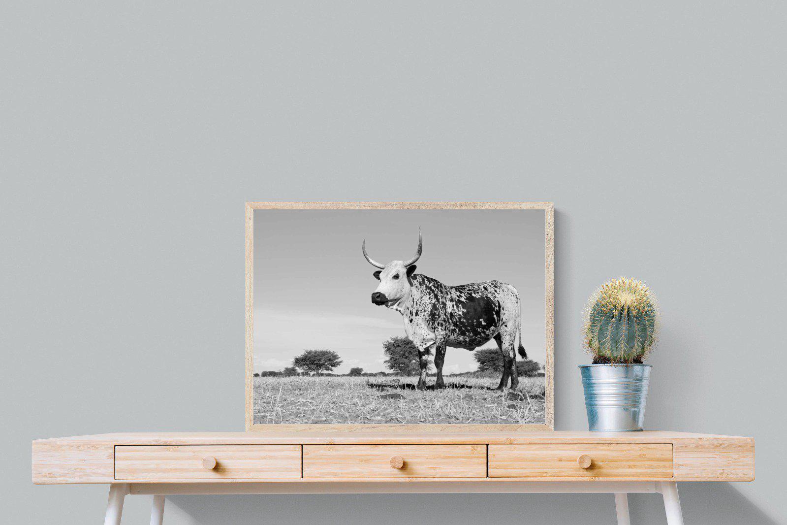 Proud Nguni-Wall_Art-80 x 60cm-Mounted Canvas-Wood-Pixalot