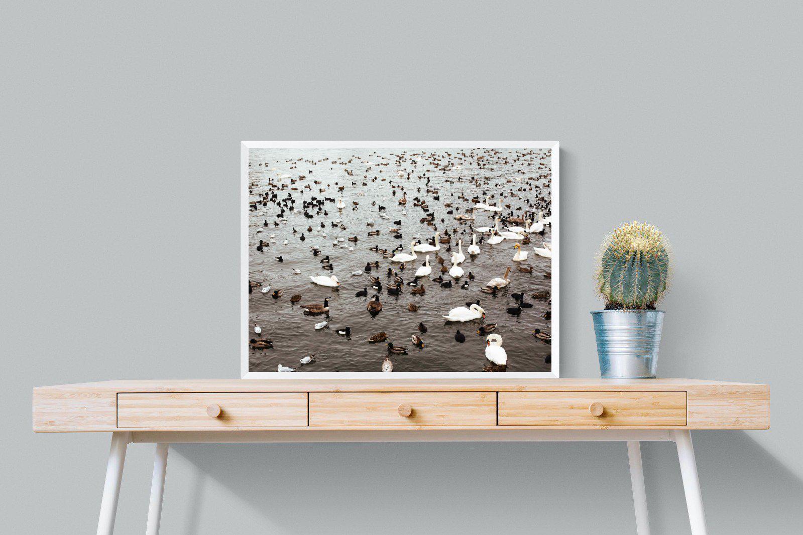 Quack-Wall_Art-80 x 60cm-Mounted Canvas-White-Pixalot