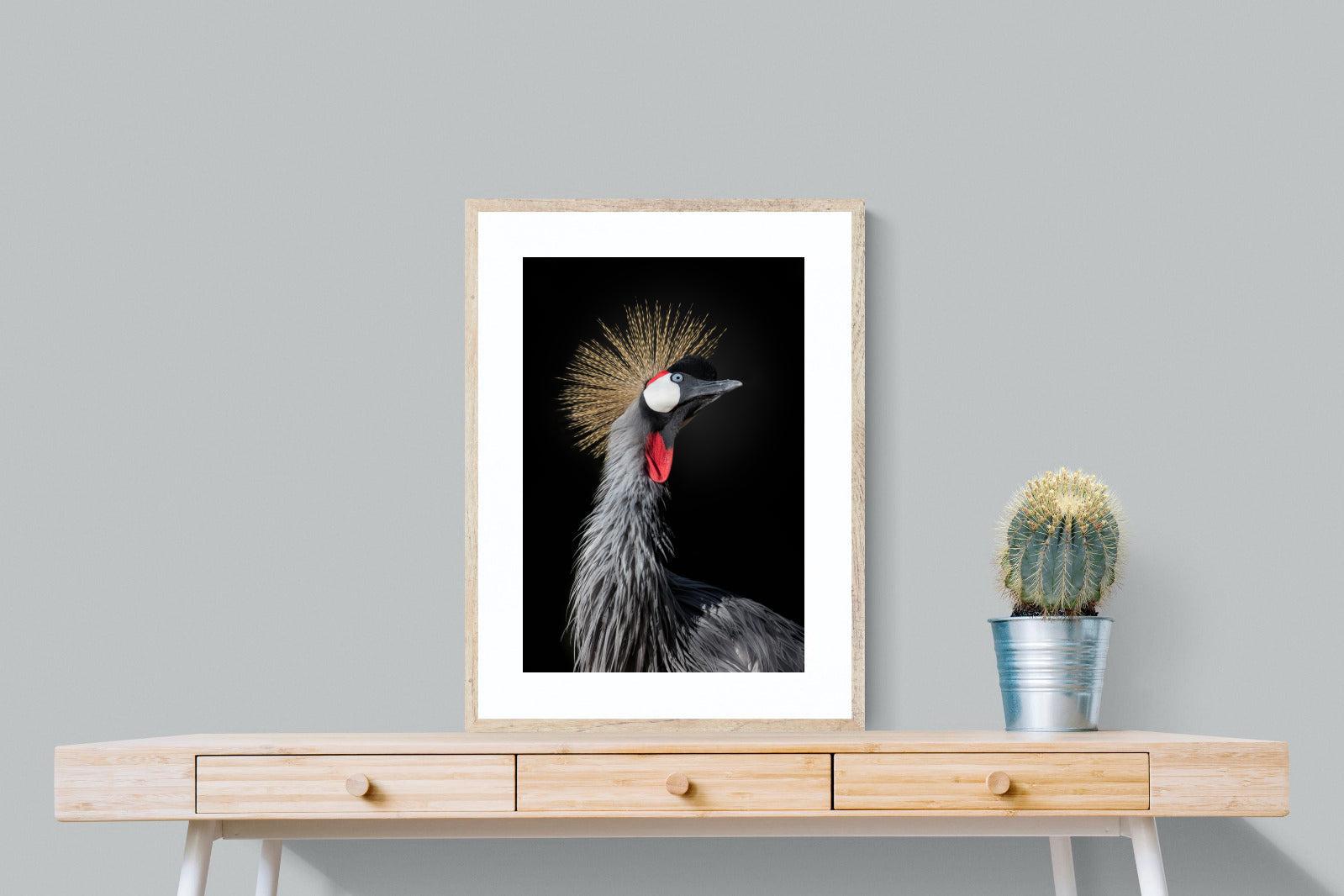 Queen Crane-Wall_Art-60 x 80cm-Framed Print-Wood-Pixalot