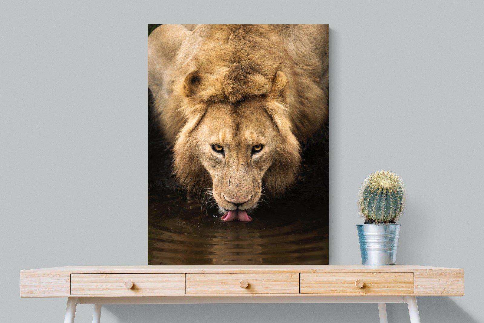 Refreshment-Wall_Art-75 x 100cm-Mounted Canvas-No Frame-Pixalot