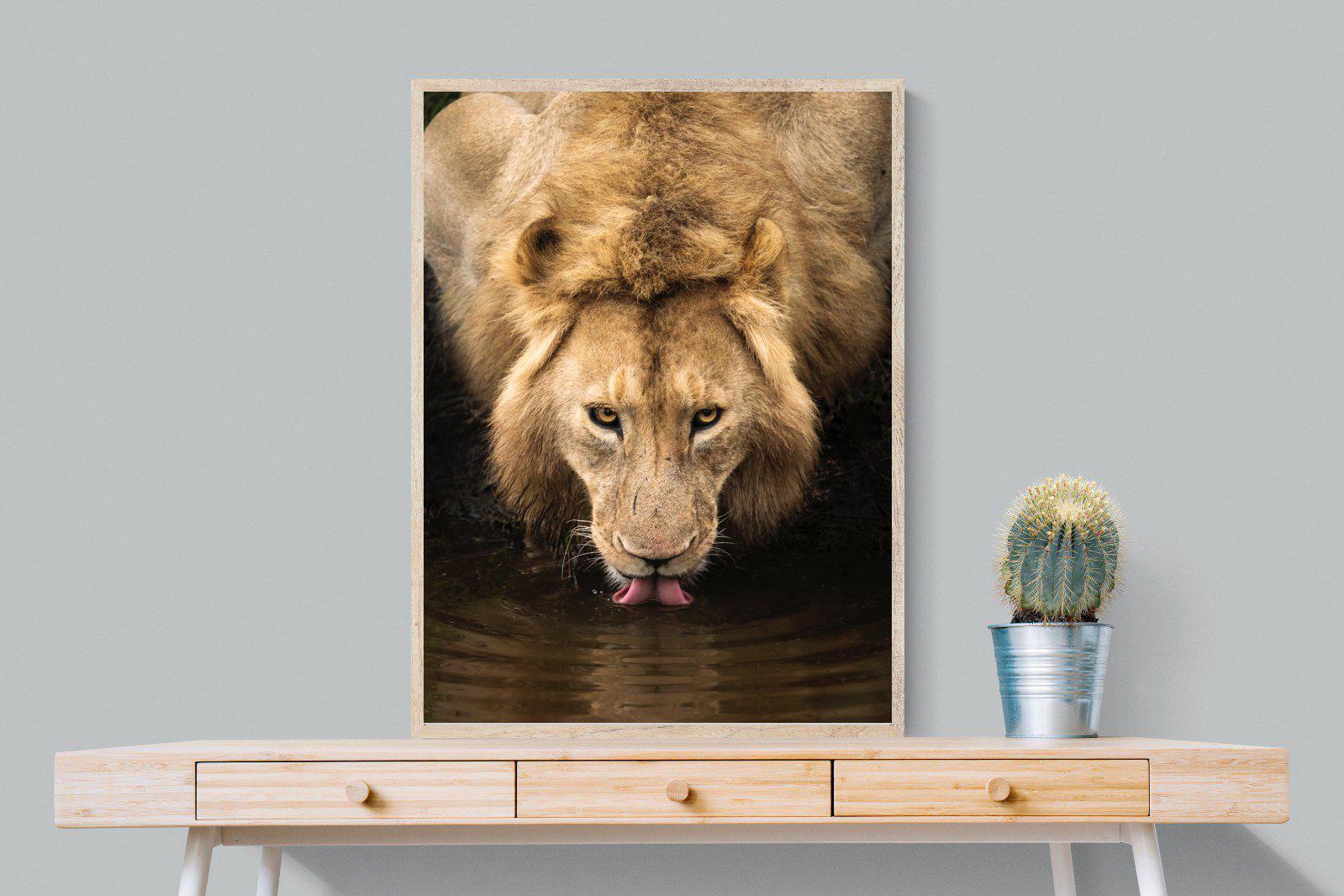 Refreshment-Wall_Art-75 x 100cm-Mounted Canvas-Wood-Pixalot