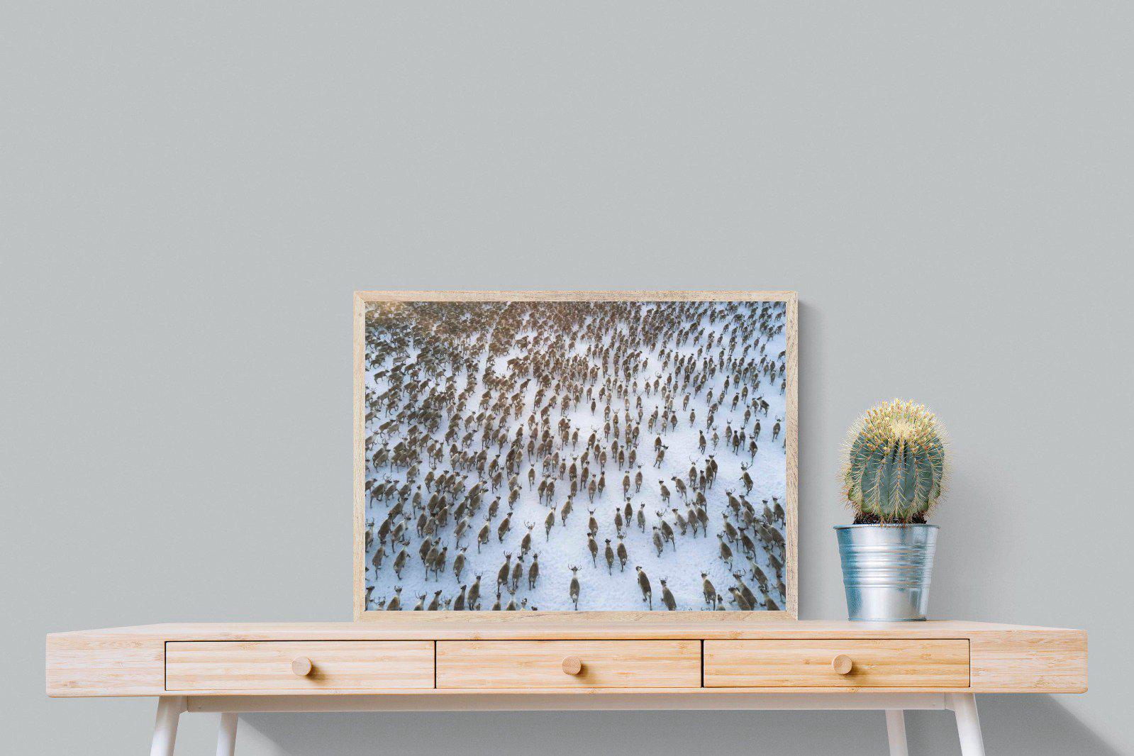 Reindeer Herd-Wall_Art-80 x 60cm-Mounted Canvas-Wood-Pixalot