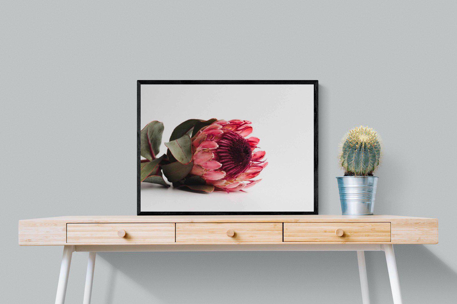 Resting Protea-Wall_Art-80 x 60cm-Mounted Canvas-Black-Pixalot