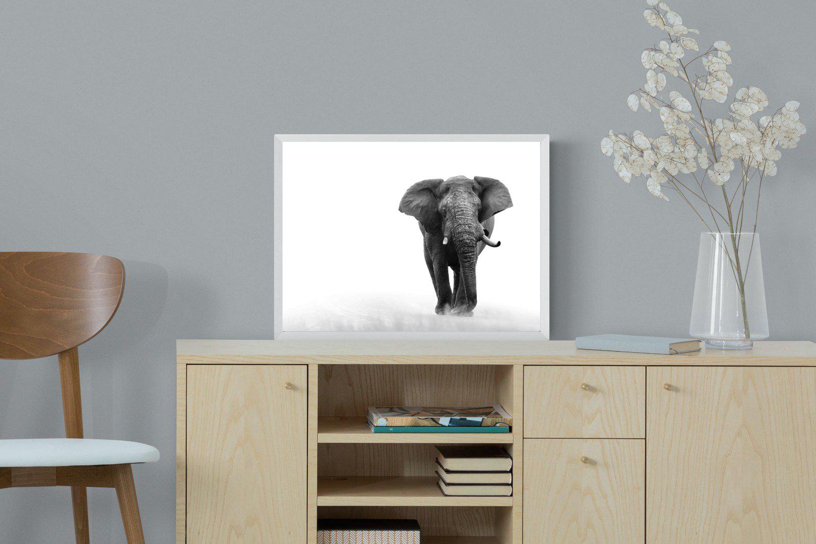 Roaming Bull-Wall_Art-60 x 45cm-Mounted Canvas-White-Pixalot