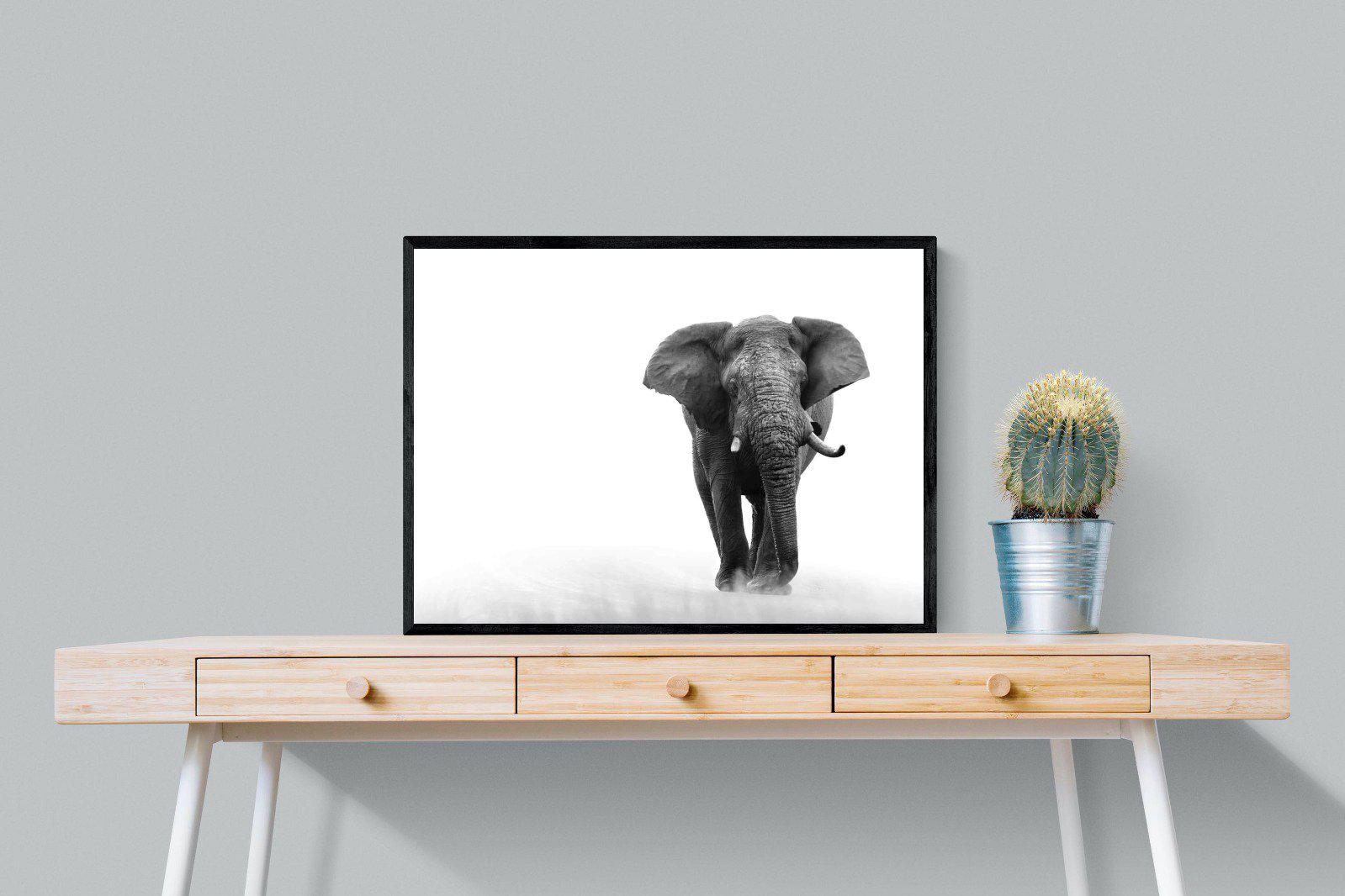 Roaming Bull-Wall_Art-80 x 60cm-Mounted Canvas-Black-Pixalot