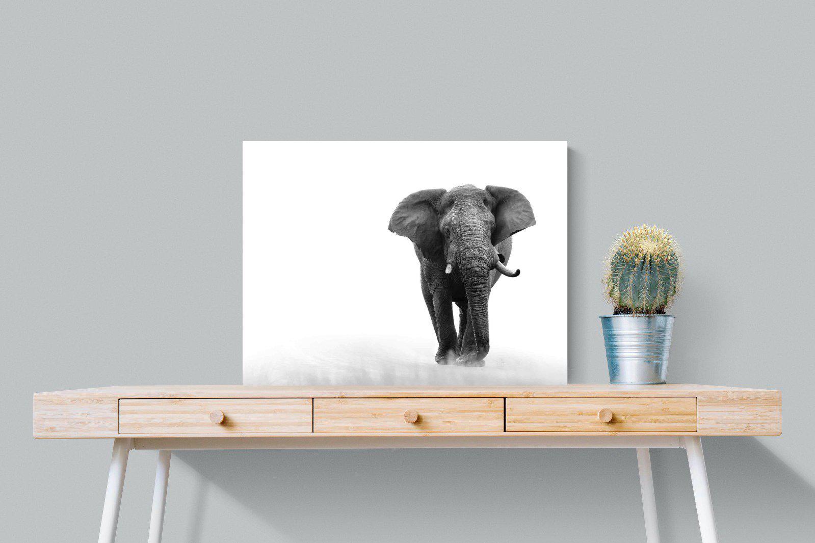 Roaming Bull-Wall_Art-80 x 60cm-Mounted Canvas-No Frame-Pixalot