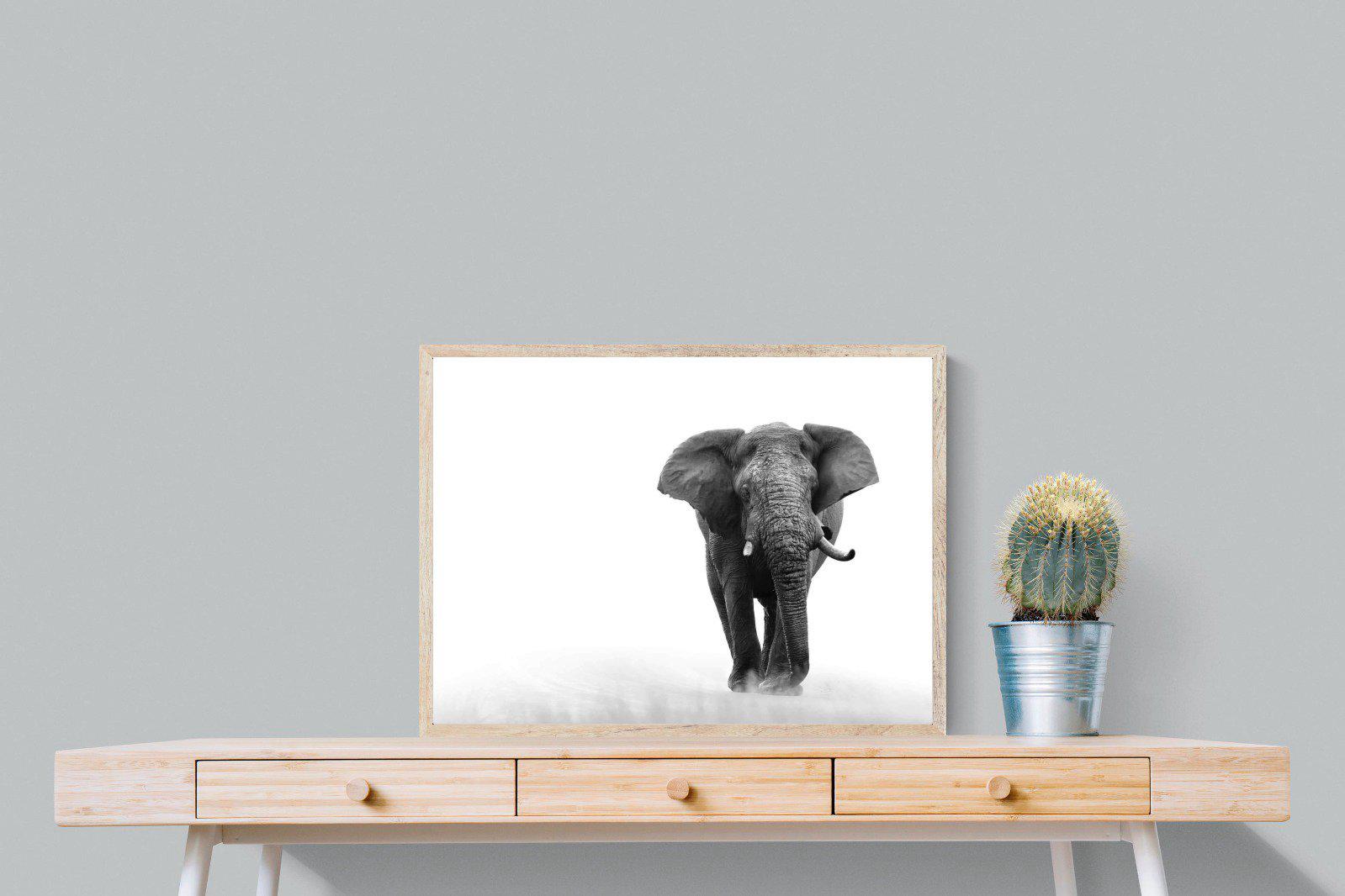 Roaming Bull-Wall_Art-80 x 60cm-Mounted Canvas-Wood-Pixalot