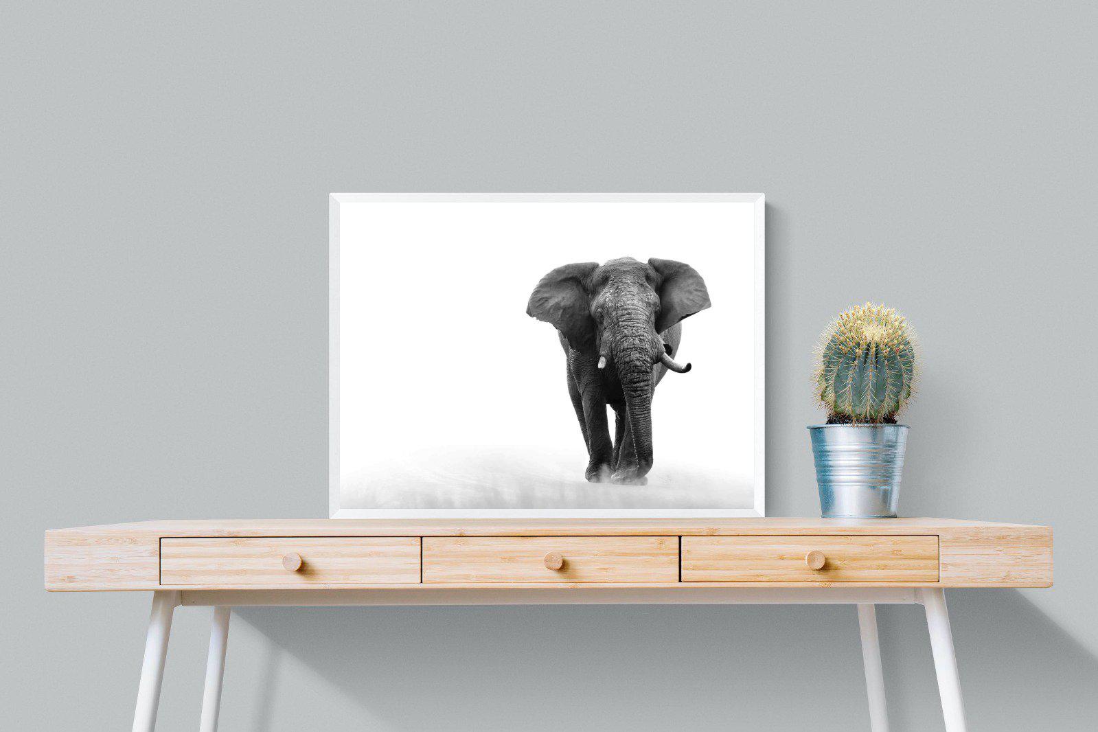 Roaming Bull-Wall_Art-80 x 60cm-Mounted Canvas-White-Pixalot