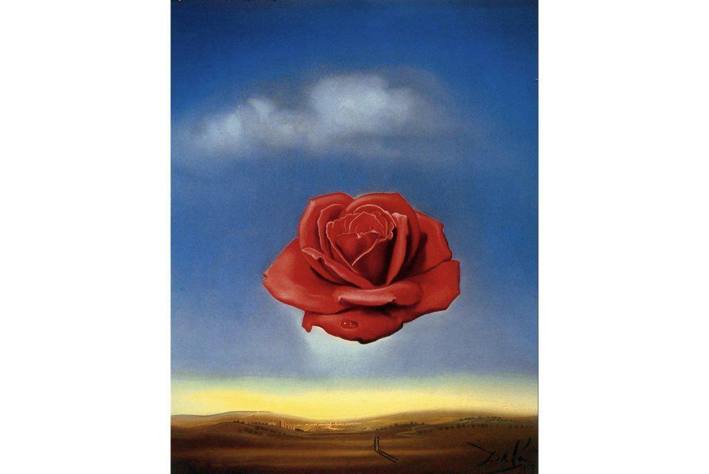 Rose Meditative-Wall_Art-Pixalot