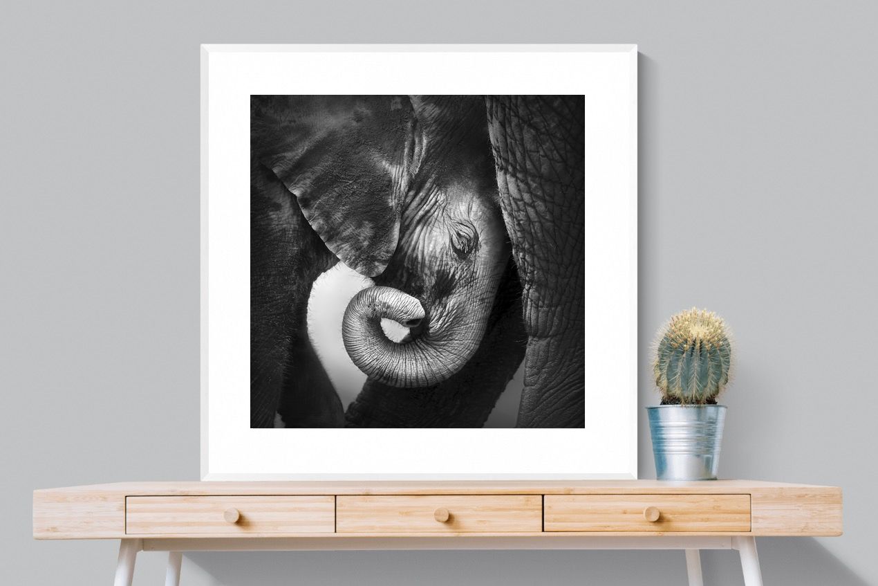 Safe-Wall_Art-100 x 100cm-Framed Print-White-Pixalot