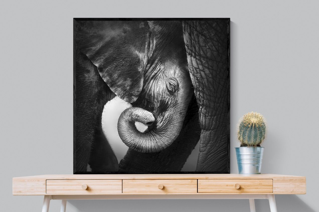 Safe-Wall_Art-100 x 100cm-Mounted Canvas-Black-Pixalot