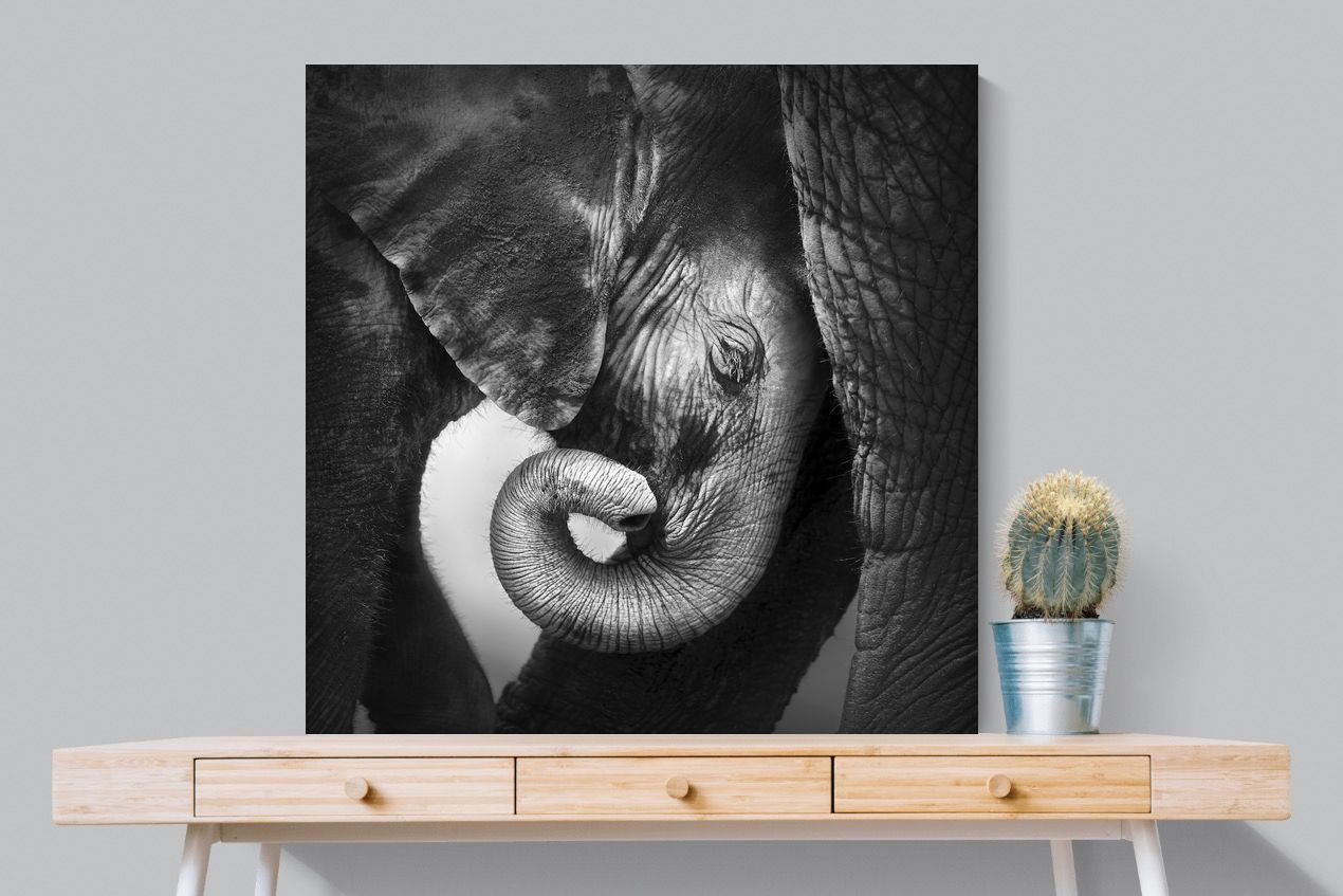 Safe-Wall_Art-100 x 100cm-Mounted Canvas-No Frame-Pixalot