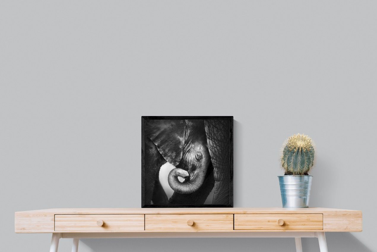 Safe-Wall_Art-50 x 50cm-Mounted Canvas-Black-Pixalot