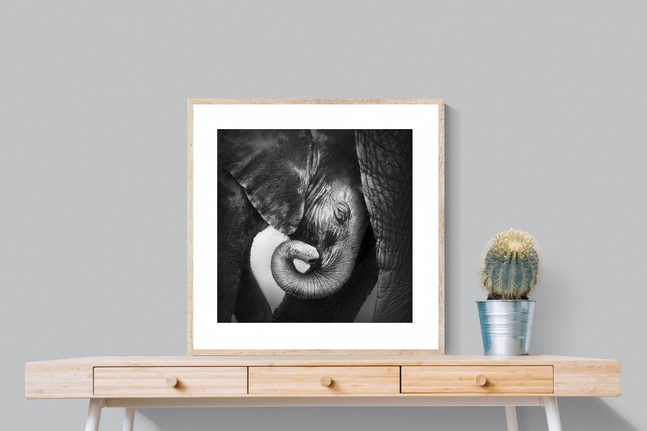 Safe-Wall_Art-80 x 80cm-Framed Print-Wood-Pixalot