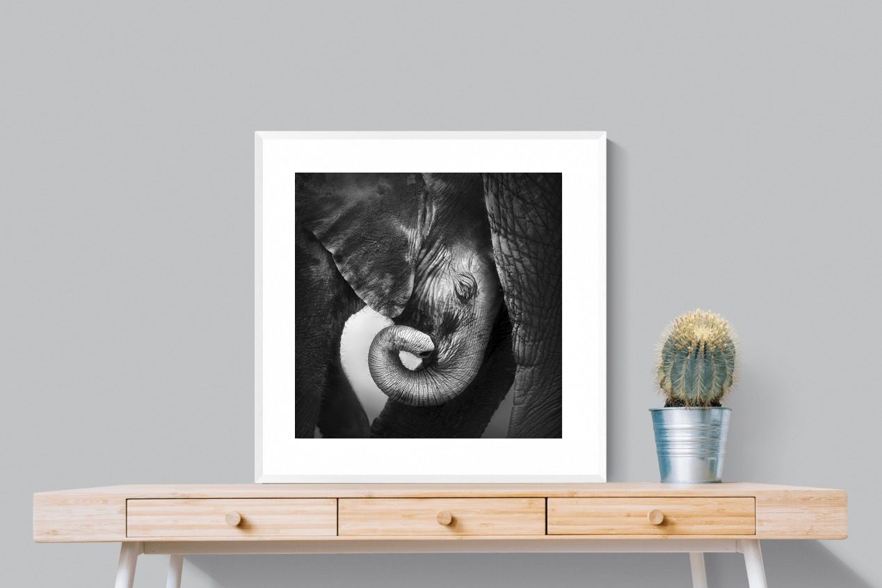 Safe-Wall_Art-80 x 80cm-Framed Print-White-Pixalot