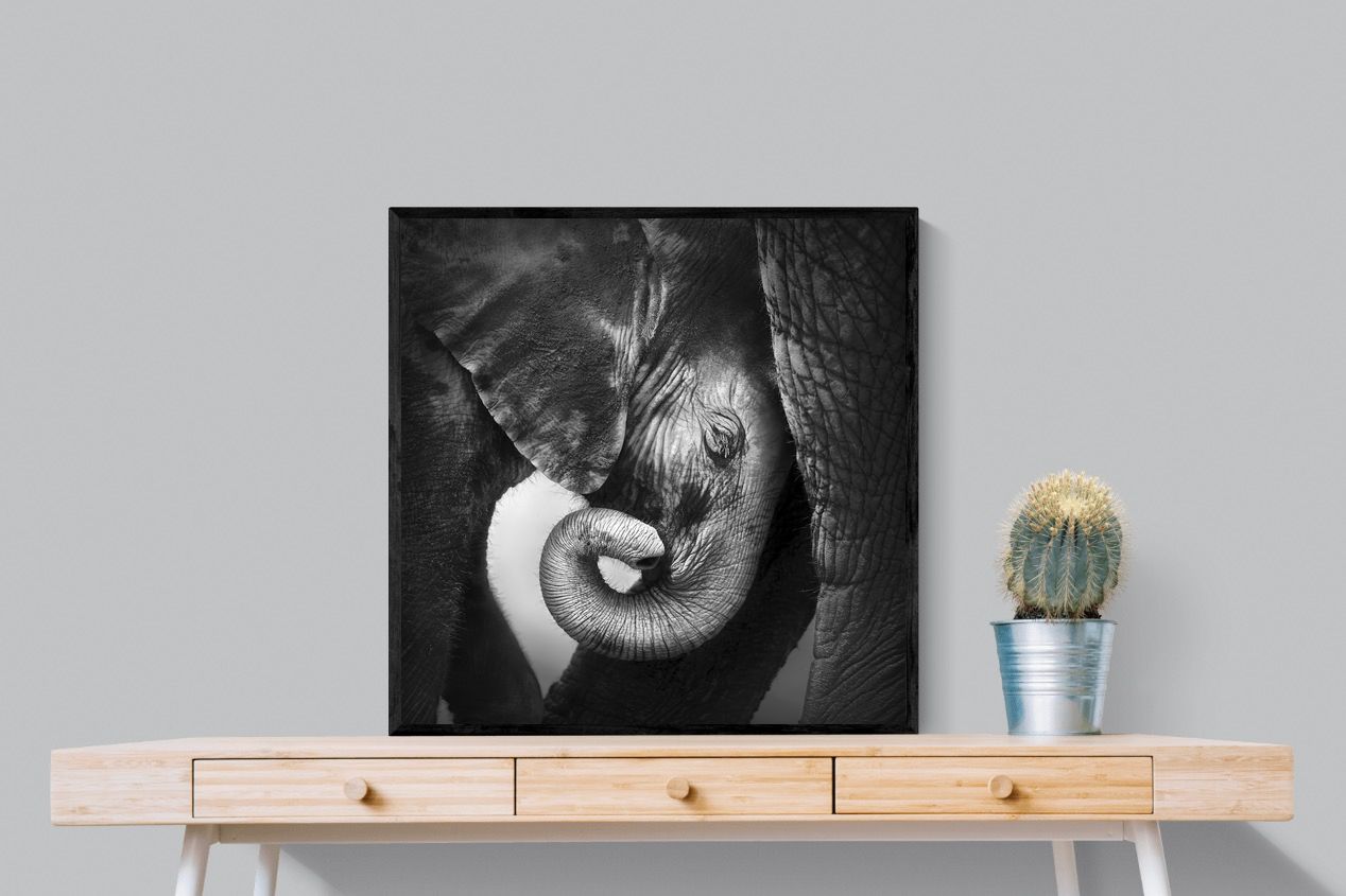 Safe-Wall_Art-80 x 80cm-Mounted Canvas-Black-Pixalot