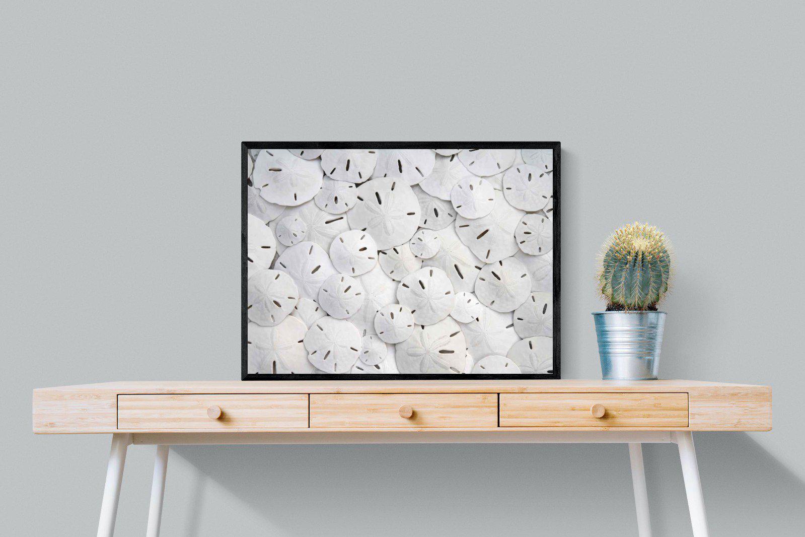 Sand Dollars-Wall_Art-80 x 60cm-Mounted Canvas-Black-Pixalot