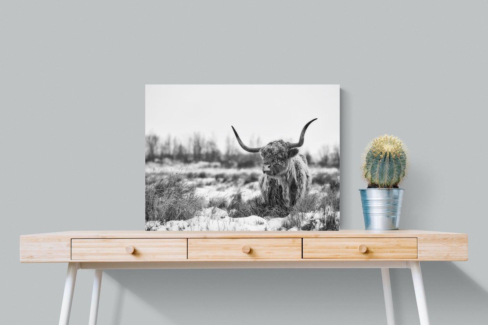 Scottish Highlander (black & white)-Wall_Art-80 x 60cm-Mounted Canvas-No Frame-Pixalot