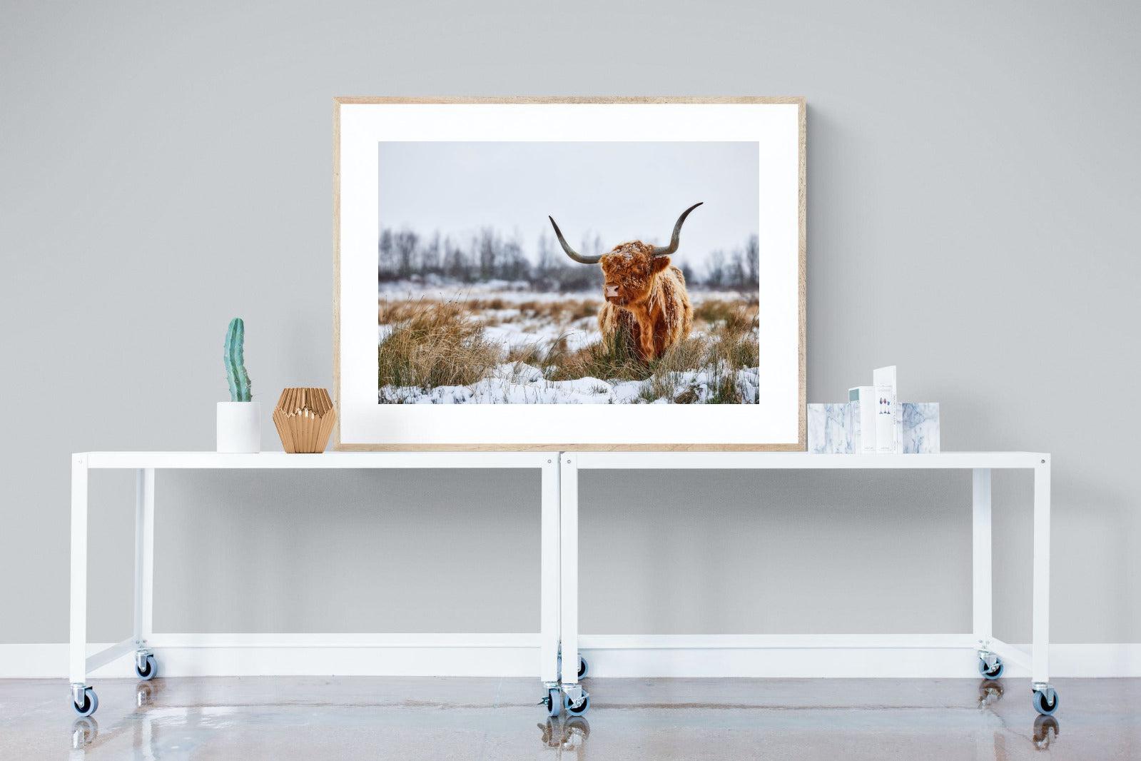 Scottish Highlander (colour)-Wall_Art-120 x 90cm-Framed Print-Wood-Pixalot