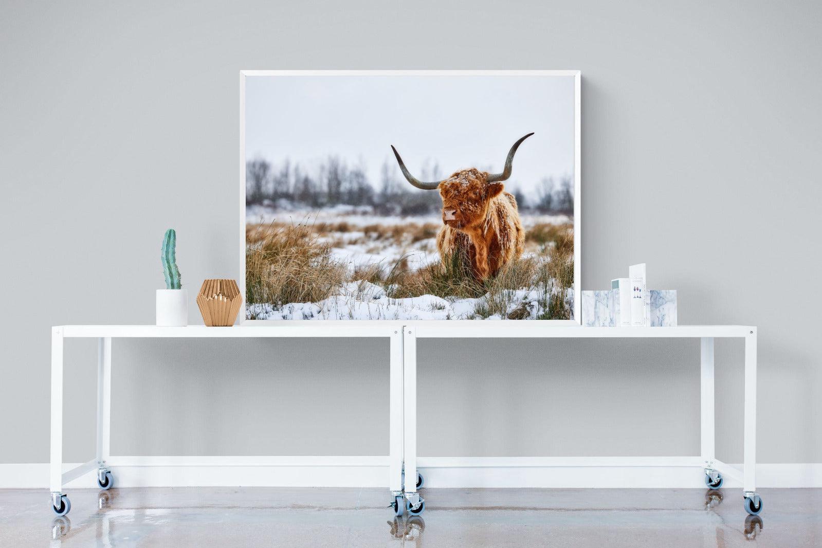 Scottish Highlander (colour)-Wall_Art-120 x 90cm-Mounted Canvas-White-Pixalot