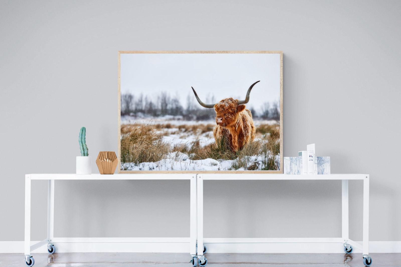 Scottish Highlander (colour)-Wall_Art-120 x 90cm-Mounted Canvas-Wood-Pixalot