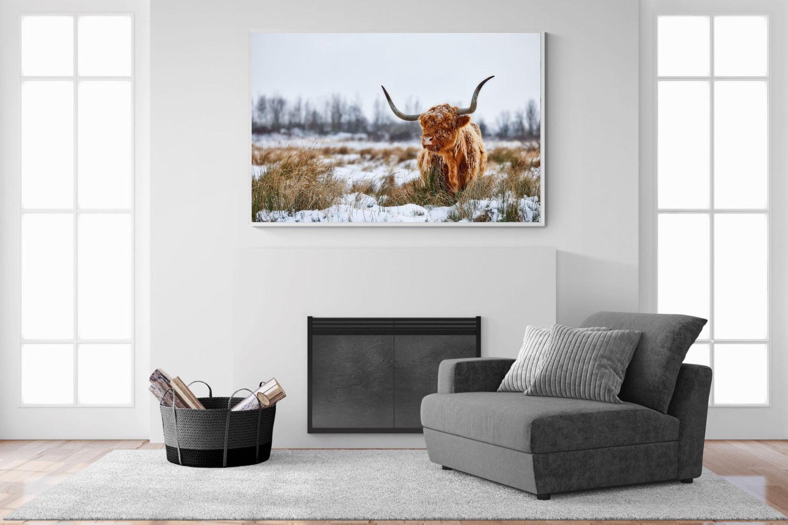 Scottish Highlander (colour)-Wall_Art-150 x 100cm-Mounted Canvas-White-Pixalot