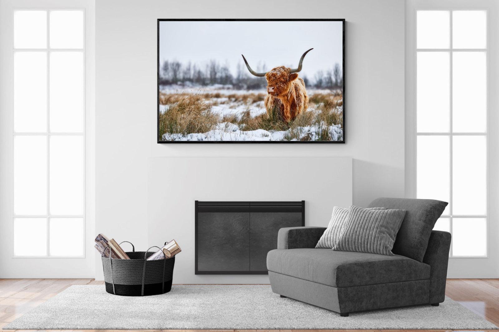 Scottish Highlander (colour)-Wall_Art-150 x 100cm-Mounted Canvas-Black-Pixalot