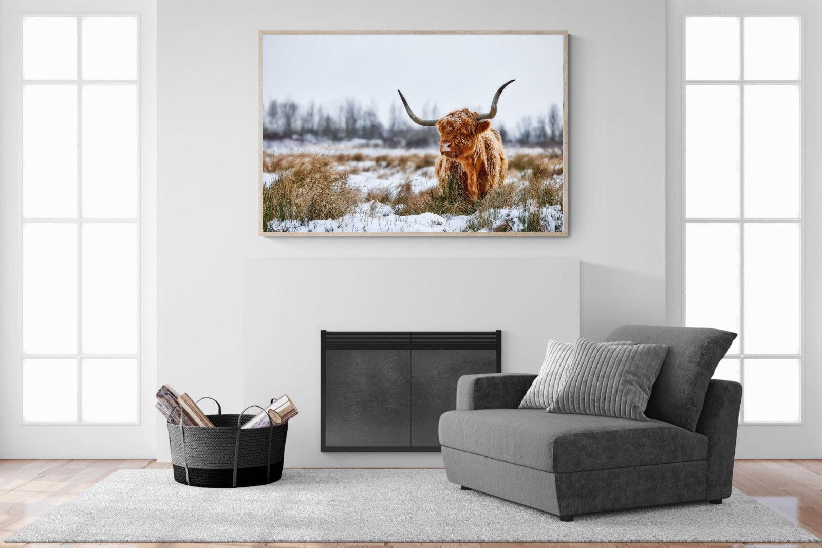 Scottish Highlander (colour)-Wall_Art-150 x 100cm-Mounted Canvas-Wood-Pixalot