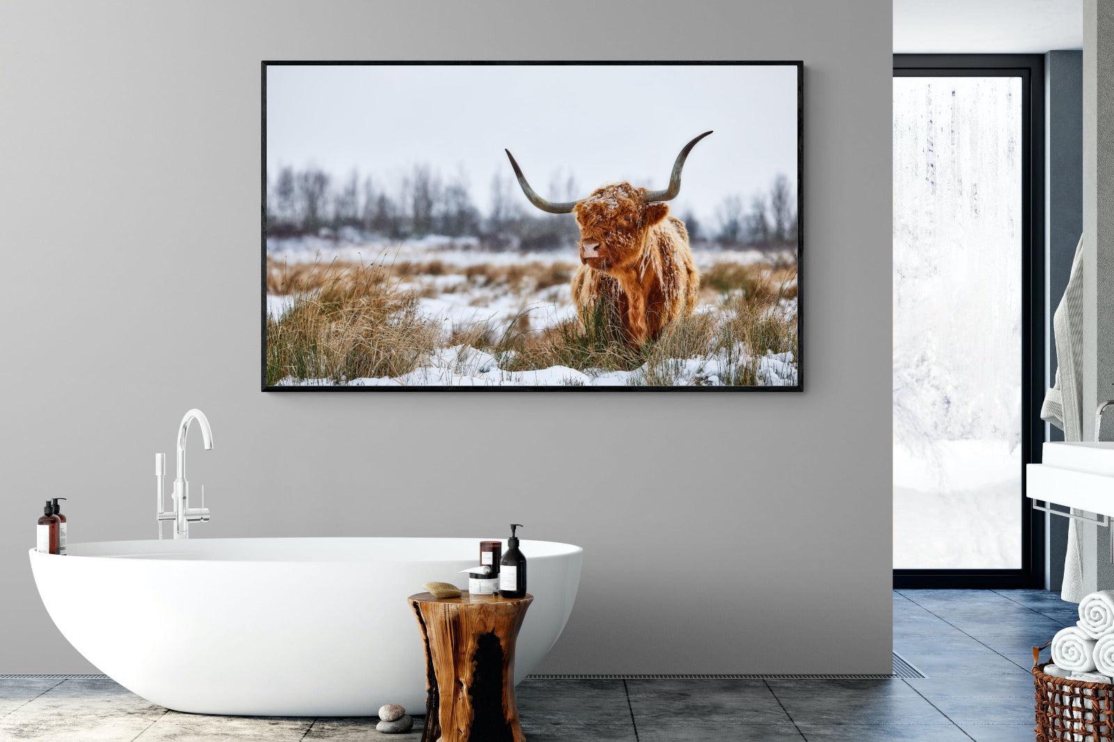 Scottish Highlander (colour)-Wall_Art-180 x 110cm-Mounted Canvas-Black-Pixalot